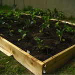DIY Easy Cheap Raised garden bed 