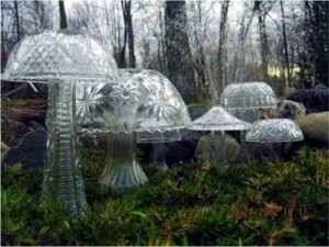 diy crystal garden mushrooms 1