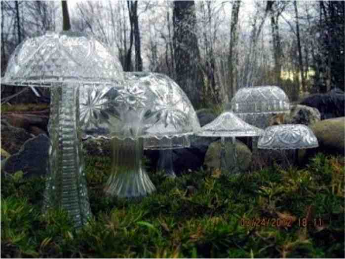 Diy Crystal Garden Mushrooms Do It Yourself Fun Ideas