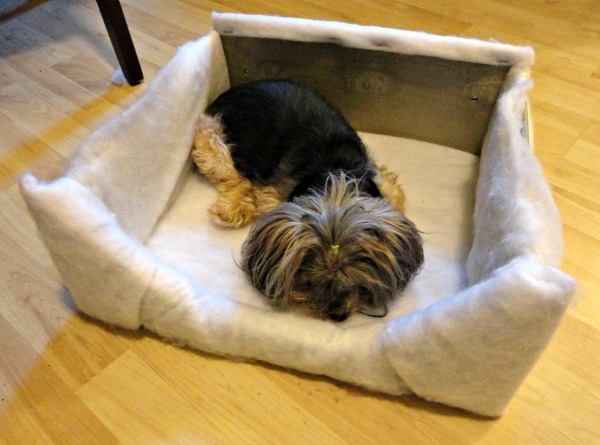 Diy bolster dog bed best sale