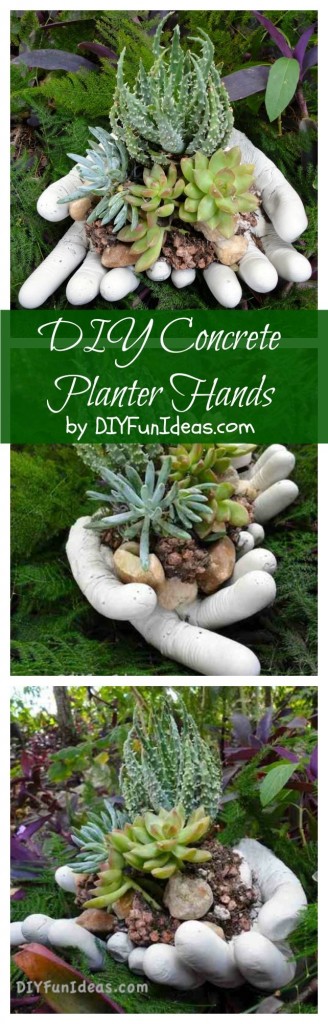 DIY succulent concrete planter hands
