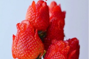 how to make strawberry roses 2